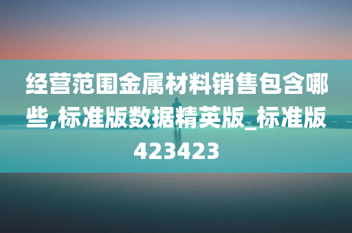 经营范围金属材料销售包含哪些,标准版数据精英版_标准版423423