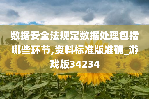 数据安全法规定数据处理包括哪些环节,资料标准版准确_游戏版34234