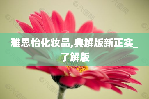 雅思怡化妆品,典解版新正实_了解版