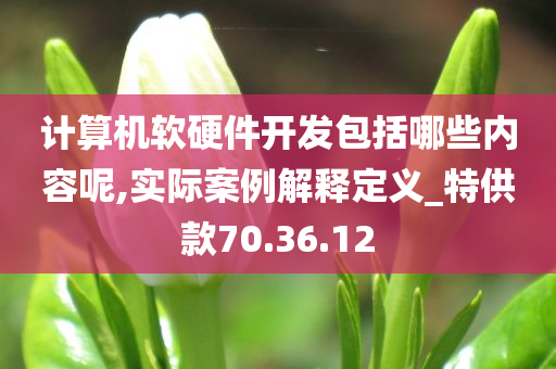 计算机软硬件开发包括哪些内容呢,实际案例解释定义_特供款70.36.12