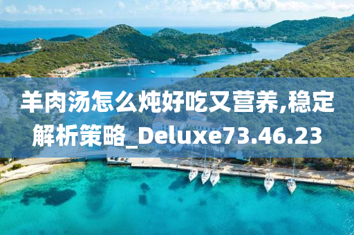 羊肉汤怎么炖好吃又营养,稳定解析策略_Deluxe73.46.23