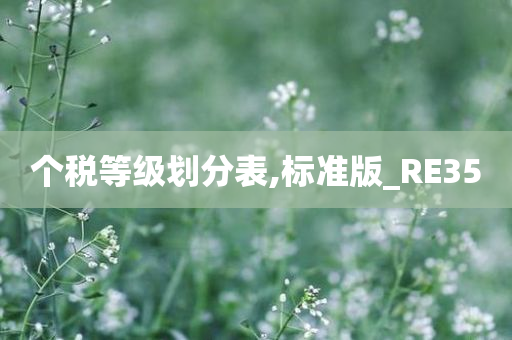 个税等级划分表,标准版_RE35