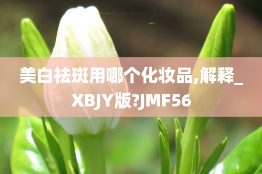 美白祛斑用哪个化妆品,解释_XBJY版?JMF56