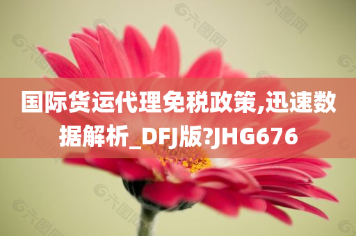 国际货运代理免税政策,迅速数据解析_DFJ版?JHG676