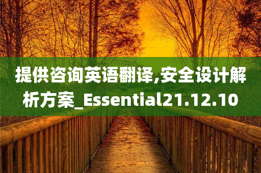 提供咨询英语翻译,安全设计解析方案_Essential21.12.10