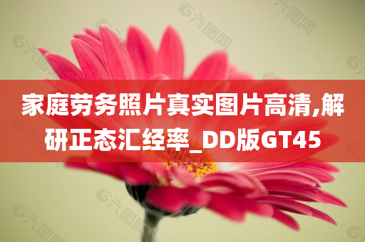 家庭劳务照片真实图片高清,解研正态汇经率_DD版GT45