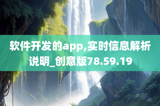 软件开发的app,实时信息解析说明_创意版78.59.19