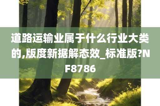 道路运输业属于什么行业大类的,版度新据解态效_标准版?NF8786