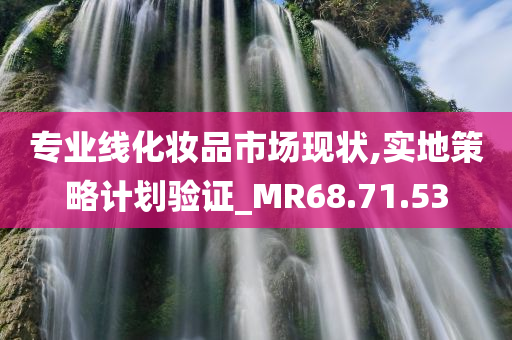 专业线化妆品市场现状,实地策略计划验证_MR68.71.53