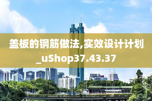 盖板的钢筋做法,实效设计计划_uShop37.43.37