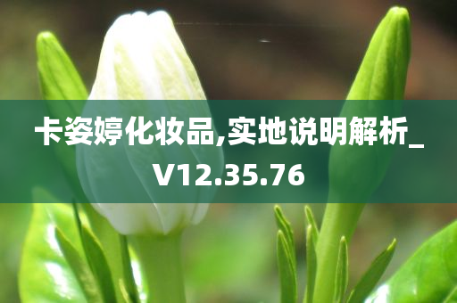 卡姿婷化妆品,实地说明解析_V12.35.76