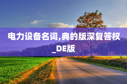 电力设备名词,典的版深复答权_DE版