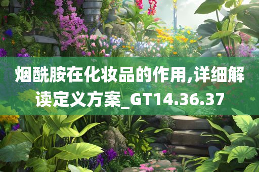 烟酰胺在化妆品的作用,详细解读定义方案_GT14.36.37