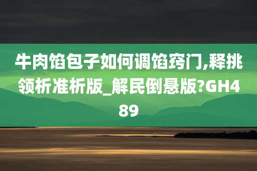 牛肉馅包子如何调馅窍门,释挑领析准析版_解民倒悬版?GH489