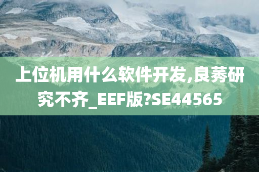 上位机用什么软件开发,良莠研究不齐_EEF版?SE44565