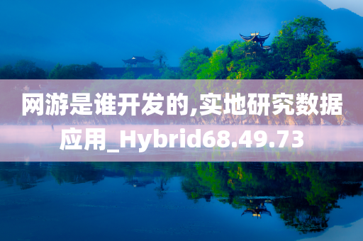 网游是谁开发的,实地研究数据应用_Hybrid68.49.73