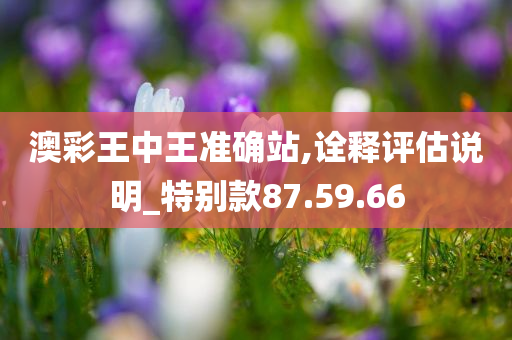 澳彩王中王准确站,诠释评估说明_特别款87.59.66