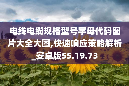 电线电缆规格型号字母代码图片大全大图,快速响应策略解析_安卓版55.19.73