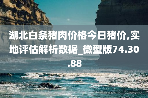 湖北白条猪肉价格今日猪价,实地评估解析数据_微型版74.30.88