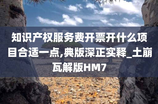 知识产权服务费开票开什么项目合适一点,典版深正实释_土崩瓦解版HM7