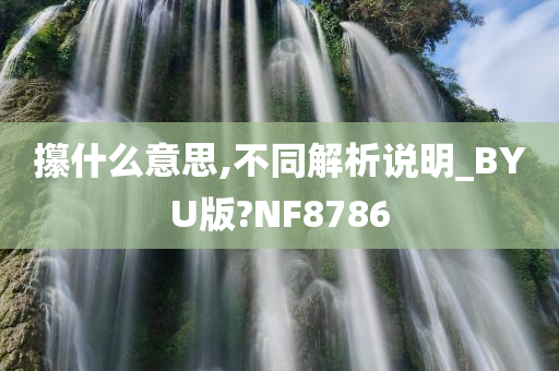 攥什么意思,不同解析说明_BYU版?NF8786