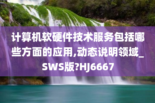 计算机软硬件技术服务包括哪些方面的应用,动态说明领域_SWS版?HJ6667