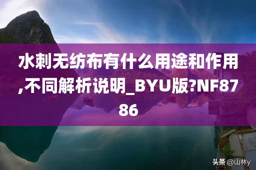 水刺无纺布有什么用途和作用,不同解析说明_BYU版?NF8786