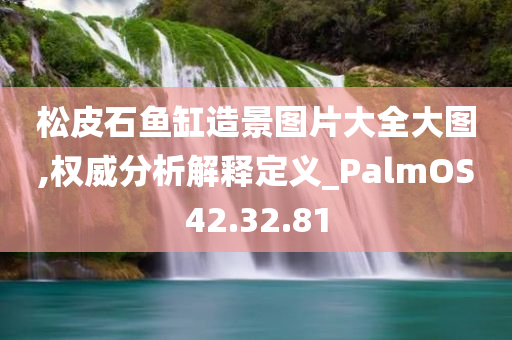 松皮石鱼缸造景图片大全大图,权威分析解释定义_PalmOS42.32.81