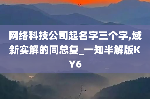 网络科技公司起名字三个字,域新实解的同总复_一知半解版KY6