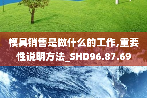 模具销售是做什么的工作,重要性说明方法_SHD96.87.69