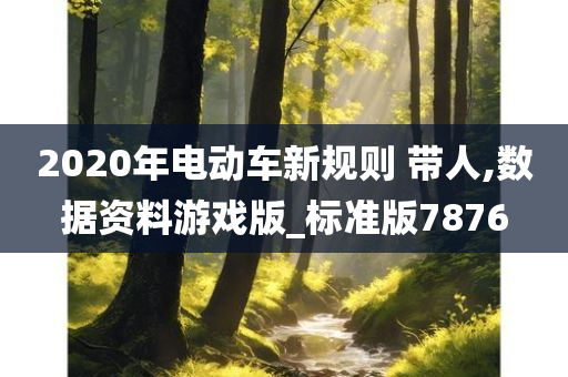 2020年电动车新规则 带人,数据资料游戏版_标准版7876