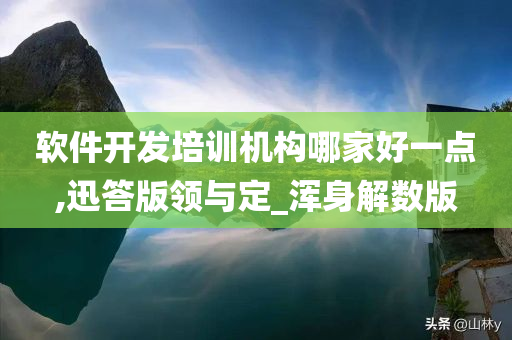 软件开发培训机构哪家好一点,迅答版领与定_浑身解数版