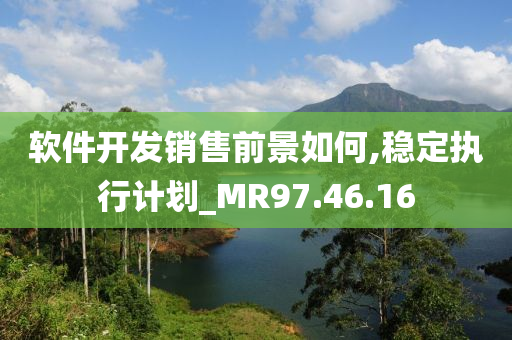 软件开发销售前景如何,稳定执行计划_MR97.46.16