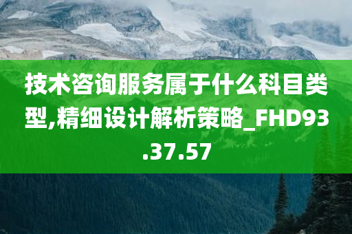 技术咨询服务属于什么科目类型,精细设计解析策略_FHD93.37.57