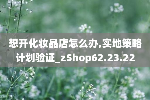 想开化妆品店怎么办,实地策略计划验证_zShop62.23.22