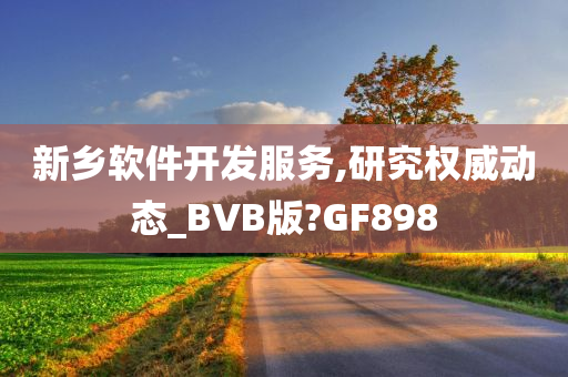 新乡软件开发服务,研究权威动态_BVB版?GF898