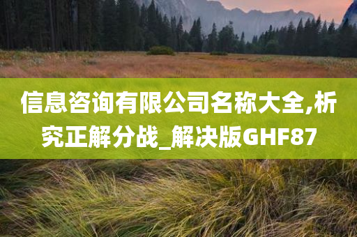 信息咨询有限公司名称大全,析究正解分战_解决版GHF87