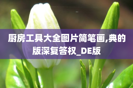 厨房工具大全图片简笔画,典的版深复答权_DE版