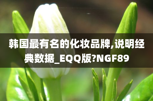 韩国最有名的化妆品牌,说明经典数据_EQQ版?NGF89