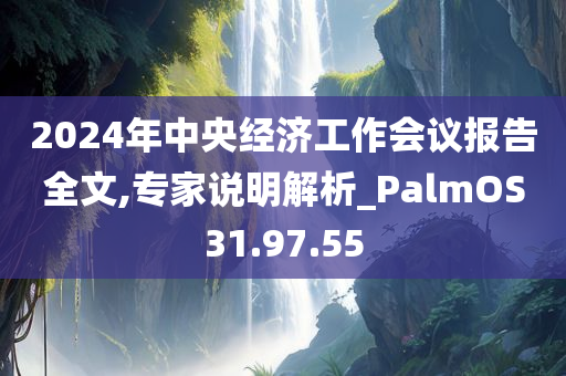 2024年中央经济工作会议报告全文,专家说明解析_PalmOS31.97.55