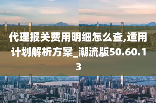 代理报关费用明细怎么查,适用计划解析方案_潮流版50.60.13