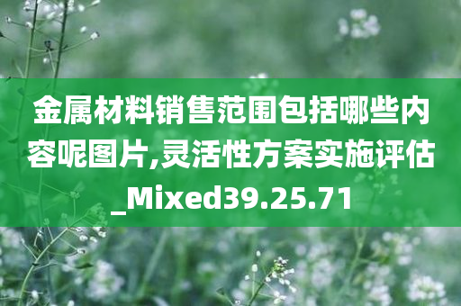 金属材料销售范围包括哪些内容呢图片,灵活性方案实施评估_Mixed39.25.71