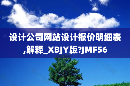 设计公司网站设计报价明细表,解释_XBJY版?JMF56