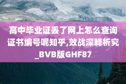 高中毕业证丢了网上怎么查询证书编号呢知乎,效战深释析究_BVB版GHF87