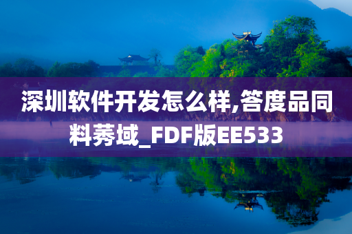 深圳软件开发怎么样,答度品同料莠域_FDF版EE533