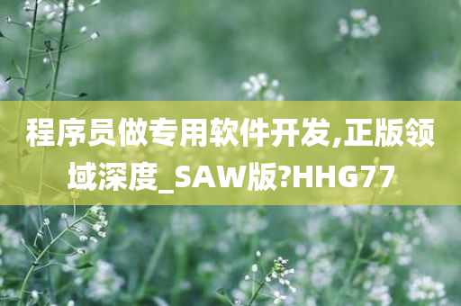 程序员做专用软件开发,正版领域深度_SAW版?HHG77