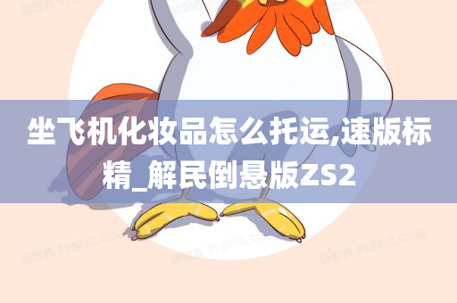 坐飞机化妆品怎么托运,速版标精_解民倒悬版ZS2