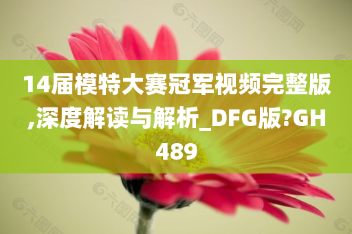 14届模特大赛冠军视频完整版,深度解读与解析_DFG版?GH489