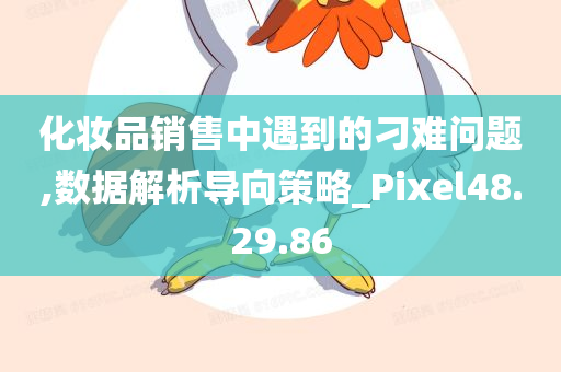 化妆品销售中遇到的刁难问题,数据解析导向策略_Pixel48.29.86