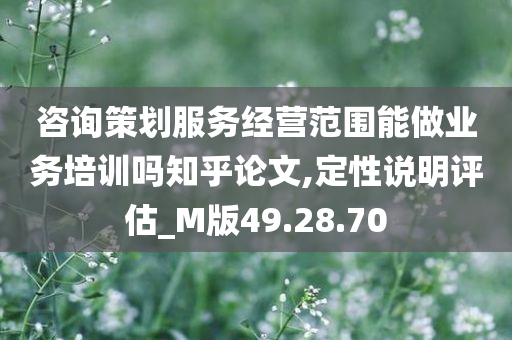 咨询策划服务经营范围能做业务培训吗知乎论文,定性说明评估_M版49.28.70